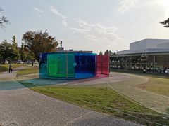 -金泽21世纪美术馆