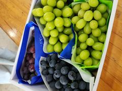 -白鹿原葡萄主题公园