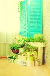 -邦叔叔.亲子全家福毕业照跟拍摄影(嘉定店)