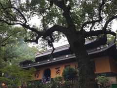 -普陀山风景名胜区-法雨禅寺