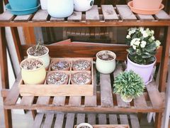 -长颈鹿咖啡(大学路店)