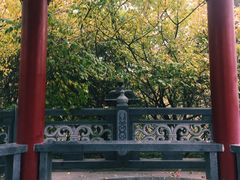 -开福禅寺