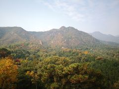 -北京鹫峰国家森林公园
