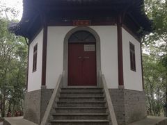 -上海佘山国家森林公园天马山园