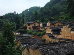 -杨家堂村