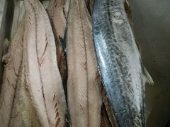 -三乐海鲜水饺馆