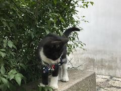 -苏州文旅花间堂·探花府酒店