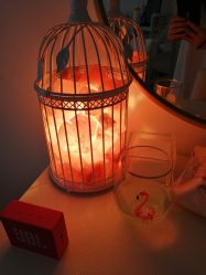 -Yukina Plus专业日式美肌