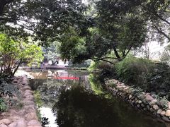 -成都市活水公园