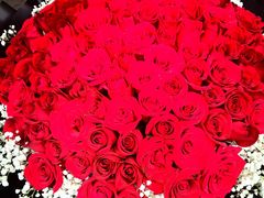 -循礼门鲜花花市(武汉循礼门店)