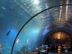 -涛·海底餐厅·美人鱼·自助餐·海底隧道(三亚海棠湾洲际度假酒店)