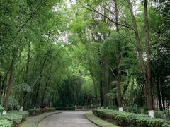-邓小平故里
