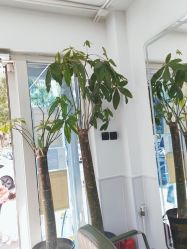 -LJOY丽锦造型·烫发染发