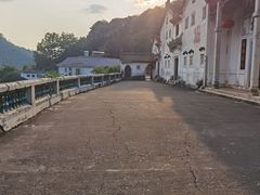 -雁南飞茶田景区