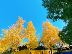 -西园戒幢律寺
