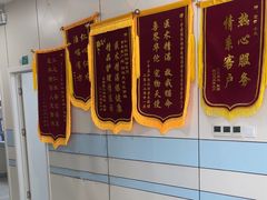 -中农国际动物医院24小时·猫科·骨科·急重症中心