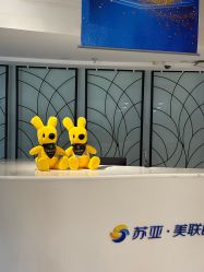 点击看大图 -石家庄苏亚美联臣医疗美容医院