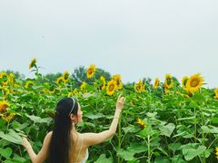 -奥林匹克森林公园北园-停车场