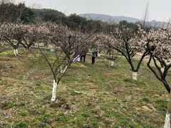 -白马涧龙池景区