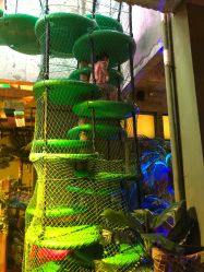 -恐龙探索乐园(磁器口店)