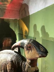 -恐龙探索乐园(磁器口店)