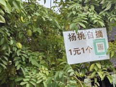 -西双版纳傣族园