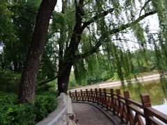 -迎泽公园