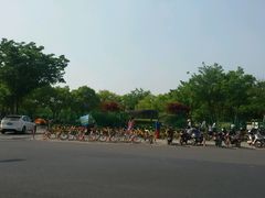 -新江湾城公园