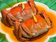 -老吉堂上海本帮菜(工体店)