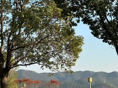 -东钱湖旅游度假区