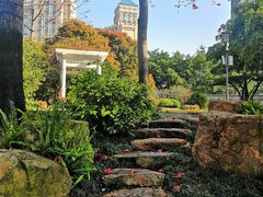 -光明港公园