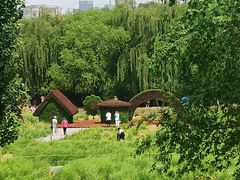 -长白岛森林公园