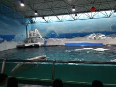 游乐设施-秦皇岛乐岛海洋王国