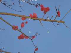 -玄武湖景区-情侣园游乐场