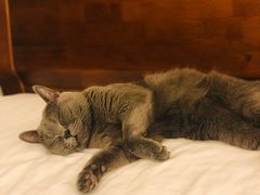 -有间冰室(侨港风情街店)