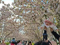 -天津万象城