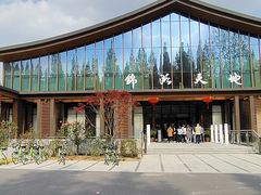 -东平国家森林公园