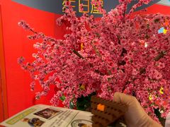 -上海乐高探索中心