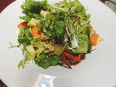 希腊沙拉-尼泊尔雪莲餐厅(北京东路店)