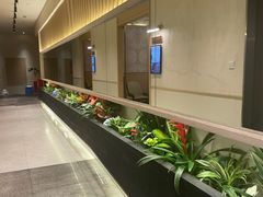 -荷花亭·湖北融合菜(中商广场店)