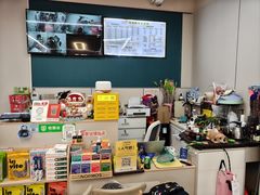 -唐小姐の私宠·宠物洗护美容·撸猫馆·购宠(周浦万达旗舰店)