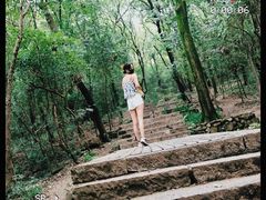 -紫金山山顶公园