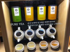 -雪绿茶博物馆