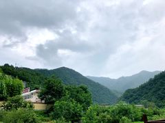 -牛背梁国家森林公园