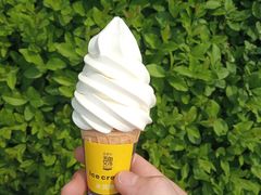 冰淇淋-魏家凉皮(博水商务大厦店)