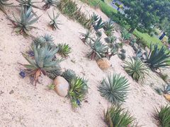 -东莞植物园