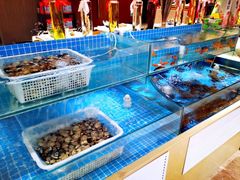 水产区-以岭健康城·凯旋门大酒店-怡梦音乐西餐厅