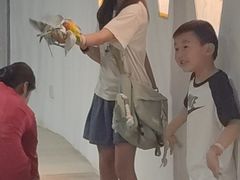 -上海大自然野生昆虫馆(东方明珠·爬宠昆虫探索中心)