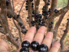 -三圣花乡旅游区