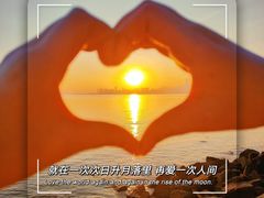 -深圳湾公园(南山区)